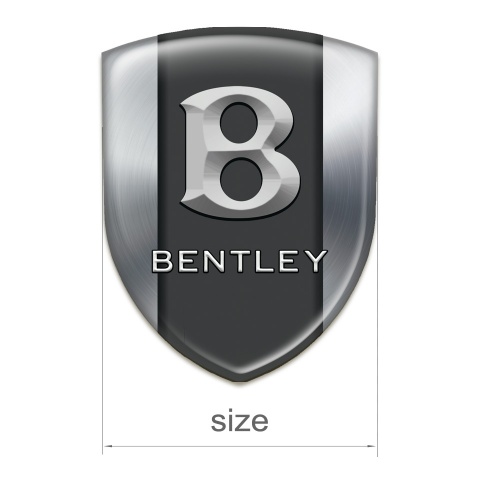 Bentley Emblem Interior Silver Print Gray 3D Logo 