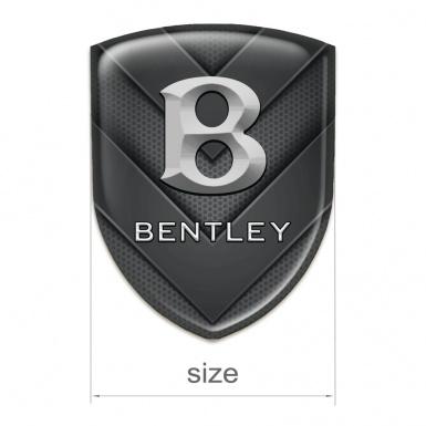 Bentley Silicone Shield Black V Shape Details Edition 