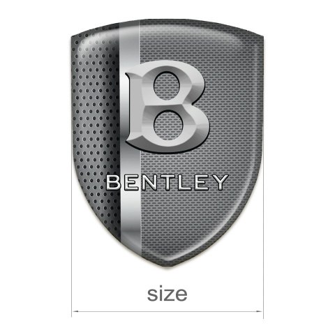 Bentley Emblem Exterior Metal Mixed Textur Edition 