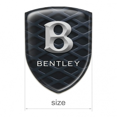 Bentley Car Interior Badge 3D Grid Edition 