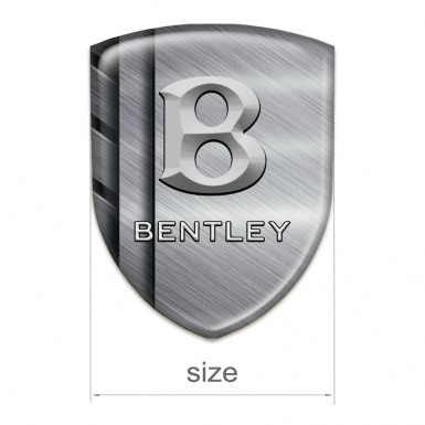 Bentley 3D Gel Emblem Brushed Metal Plates Edition 