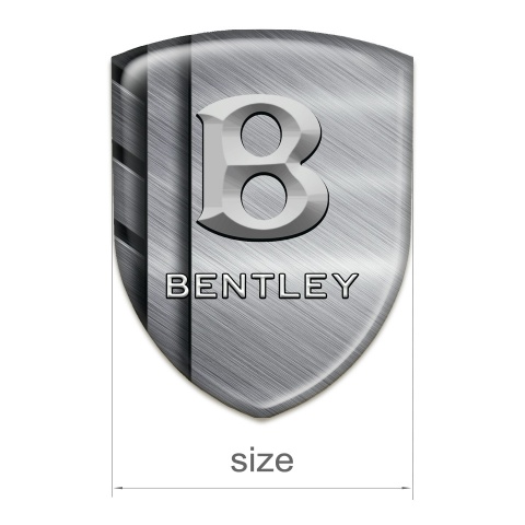 Bentley 3D Gel Emblem Brushed Metal Plates Edition 