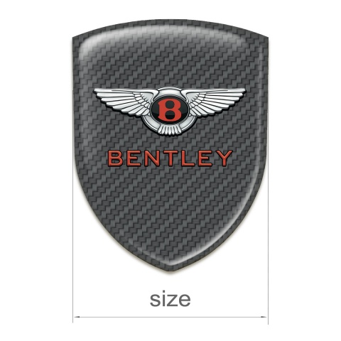 Bentley Emblem Exterior Carbon Model with Stylish logo 