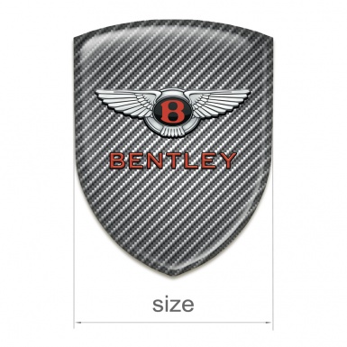Bentley Silicone Shield Carbon Model with Stylish Logo 
