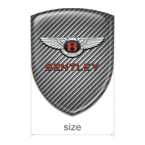 Bentley Silicone Shield Carbon Model with Stylish Logo 