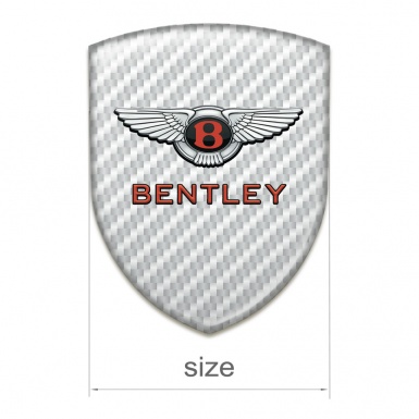 Bentley Emblem Exterior Mesh Effect Model with Stylish Logo 