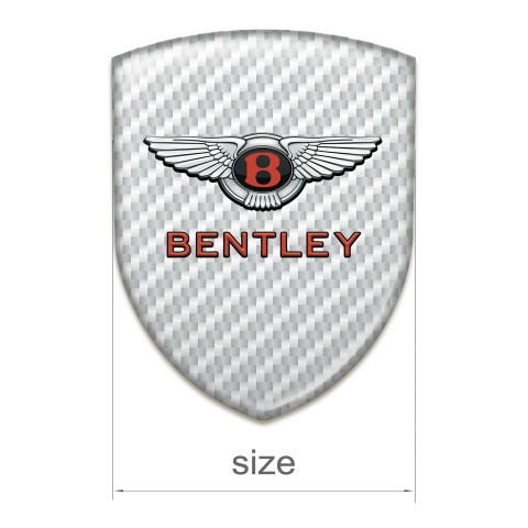 Bentley Emblem Exterior Mesh Effect Model with Stylish Logo 