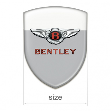Bentley Car Interior Badge Gray White Model Stylish Logo 