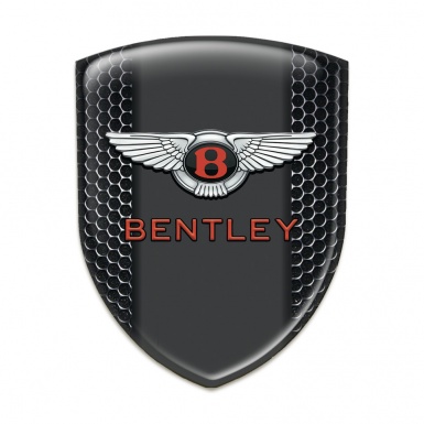 Bentley Silicone Shield Perforated Steel Pattern
