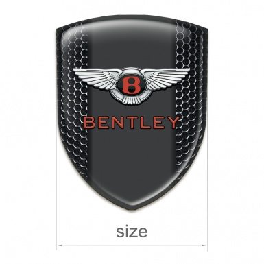 Bentley Silicone Shield Perforated Steel Pattern