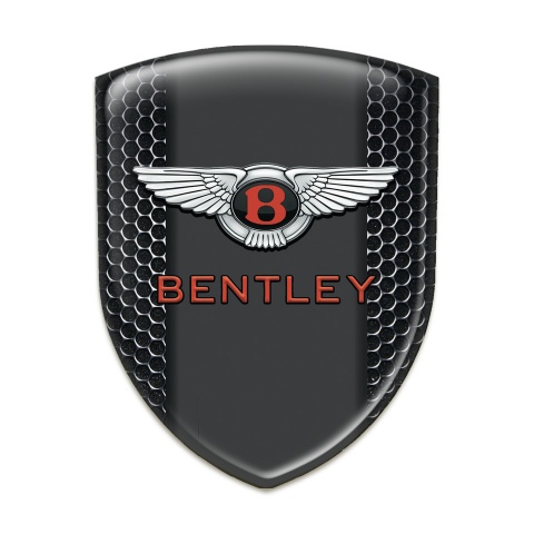 Bentley Silicone Shield Perforated Steel Pattern