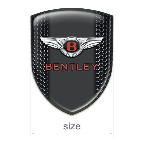 Bentley Silicone Shield Perforated Steel Pattern