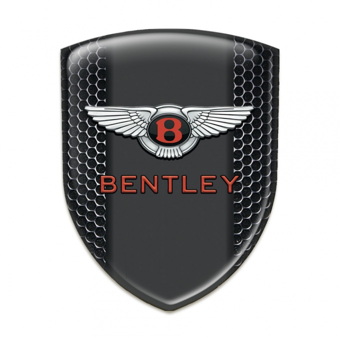 Bentley Silicone Shield Perforated Steel Pattern