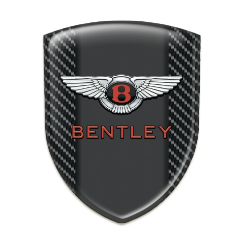 Bentley Silicone Shield Black carbon Example 