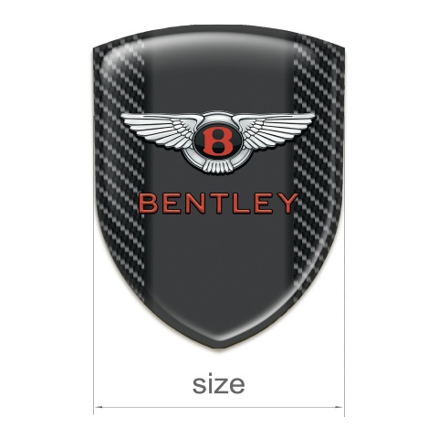 Bentley Silicone Shield Black carbon Example 