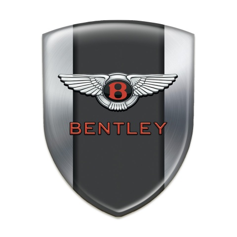 Bentley Auto Emblem Silver with Central Panel Model 
