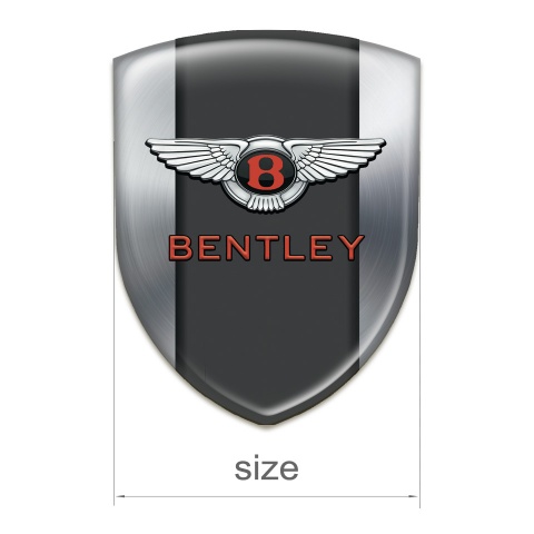 Bentley Auto Emblem Silver with Central Panel Model 