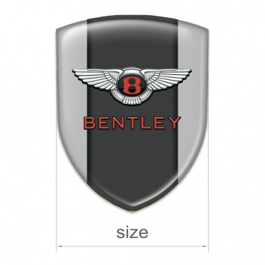Bentley Emblem Badge Logo Gray with Central Panel model 