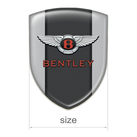 Bentley Emblem Badge Logo Gray with Central Panel model 