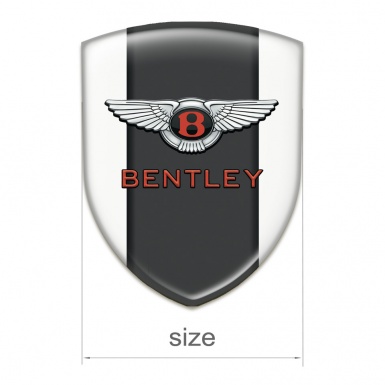 Bentley Domed Emblem White with Centar Graphit Panel 