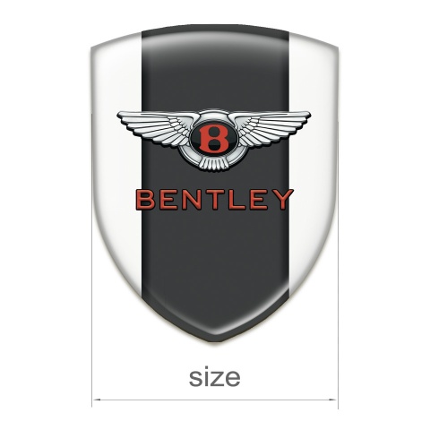 Bentley Domed Emblem White with Centar Graphit Panel 