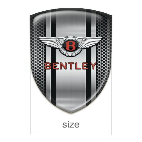 Bentley Auto Emblem Racing Edition Metal Details design  