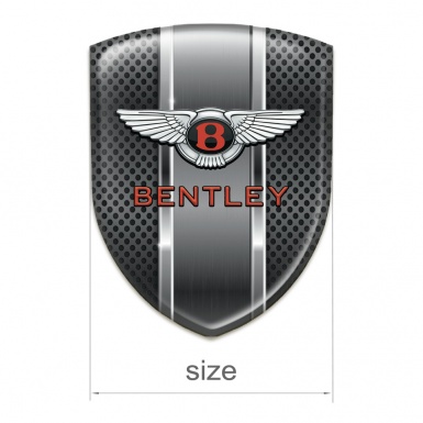 Bentley 3D Gel Emblem Metal Mesh with Metal Panel Style 