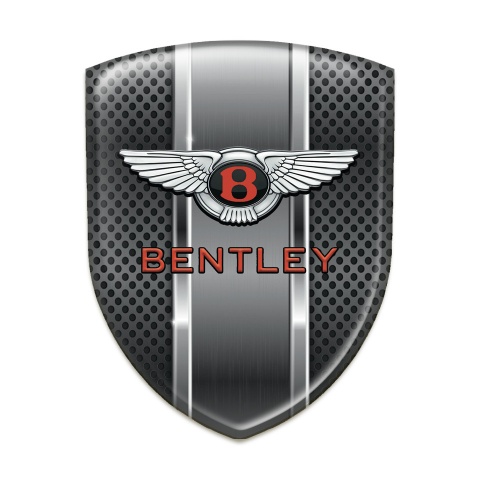 Bentley 3D Gel Emblem Metal Mesh with Metal Panel Style 