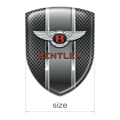 Bentley 3D Gel Emblem Metal Mesh with Metal Panel Style 