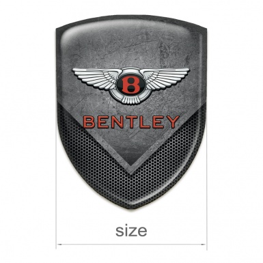 Bentley Silicone Car Decal Badge Scratched Plate with Mesh Effect 