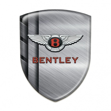 Bentley Silicone Shield Polished Metal Plates Style 