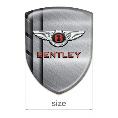 Bentley Silicone Shield Polished Metal Plates Style 
