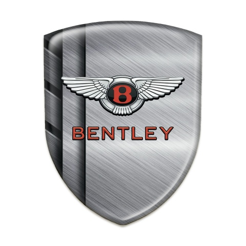 Bentley Silicone Shield Polished Metal Plates Style 