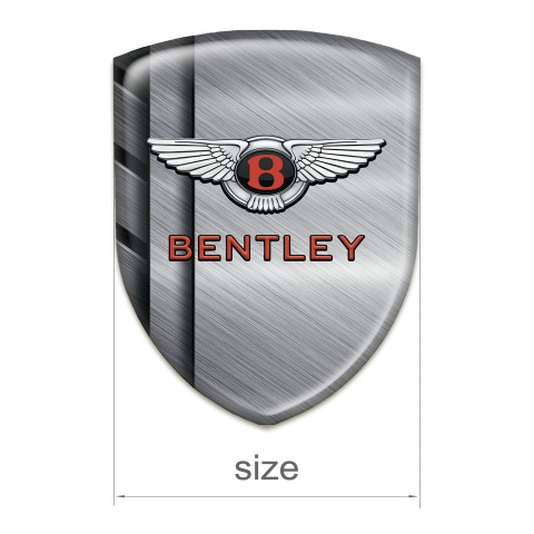 Bentley Silicone Shield Polished Metal Plates Style 