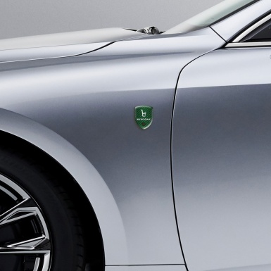 Opel Bertone Resin Sticker Green Carbon version 