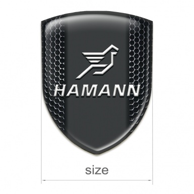 Hamann Emblem Interior Perforated Steel Version 