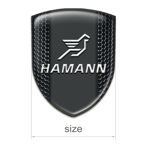 Hamann Emblem Interior Perforated Steel Version 