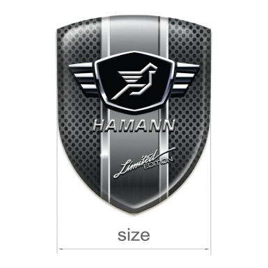Hamann Emblem Exterior Dark mes with metal Panel design 