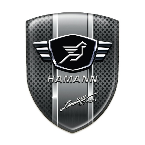 Hamann Emblem Exterior Dark mes with metal Panel design 