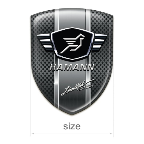 Hamann Emblem Exterior Dark mes with metal Panel design 