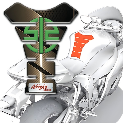 Kawasaki Tank Fuse Bronze Stylish Version 