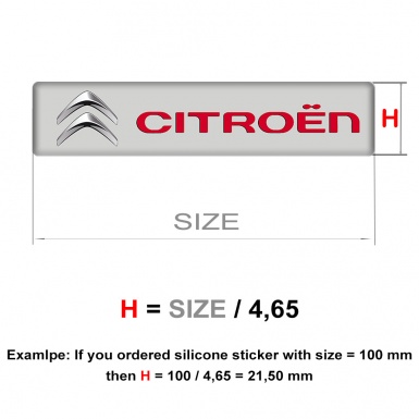 Citroen Emblem Badge Logo Classic Edition 