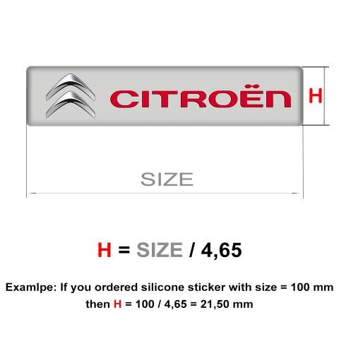 Citroen Emblem Badge Logo Classic Edition 