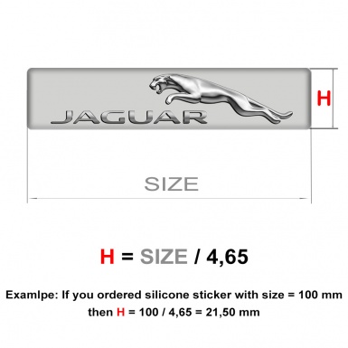 Jaguar Logo Emblem Limited Edition Model 