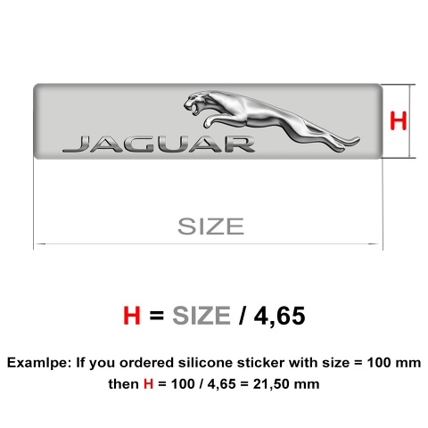 Jaguar Logo Emblem Limited Edition Model 