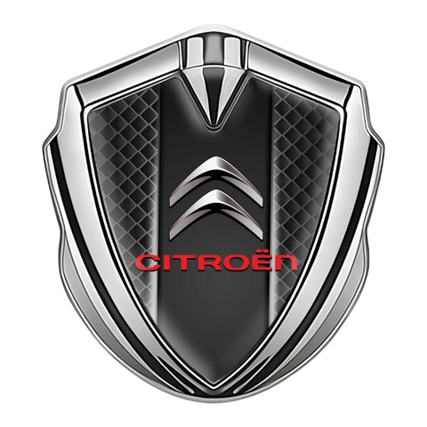 Citroen Emblem Auto Zeichen Silbertonfarbe Dunkles Gitter Und Graphit Panel Logo