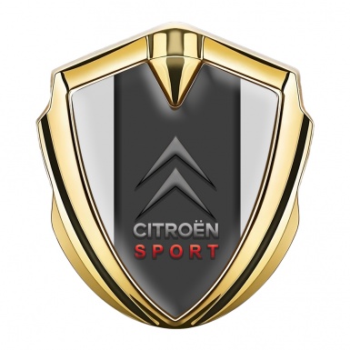 Citroen Seitenflugel Emblem Aufkleber Goldtonfarbe Grau Hintergrund und Graphit Panel Sport logo