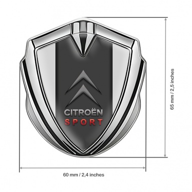 Citroen Seitenflugel Emblem Aufkleber Silbertonfarbe Grau Hintergrund und Graphit Panel Sport logo