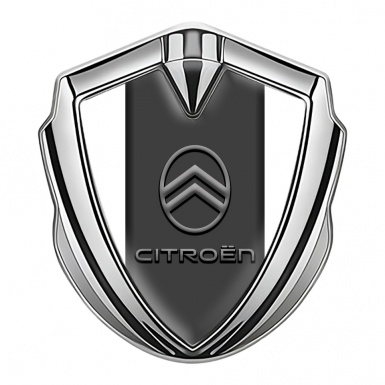 Citroen Fender Emblem Badge Silver White Base Modern Grey Logo Design