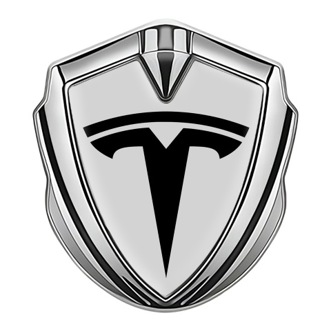 Tesla Emblem Aufkleber Autozubehor Silbertonfarbe Grau Basis mit Grosses Logo